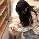 爱游戏下载截图